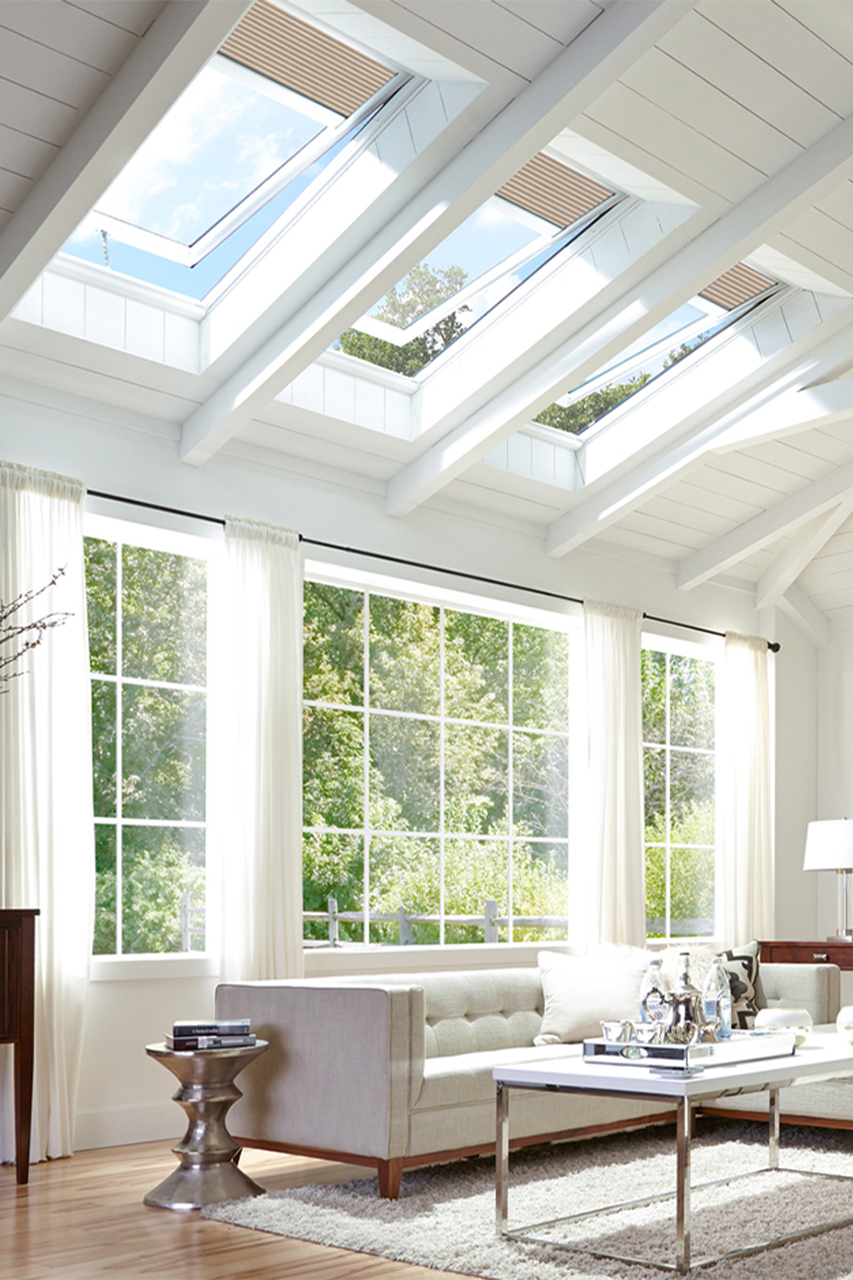 EVMS VELUX Skylight in Beautiful Bright Living Room